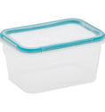 Snapware® TS Plastic Rectangle 1.18L