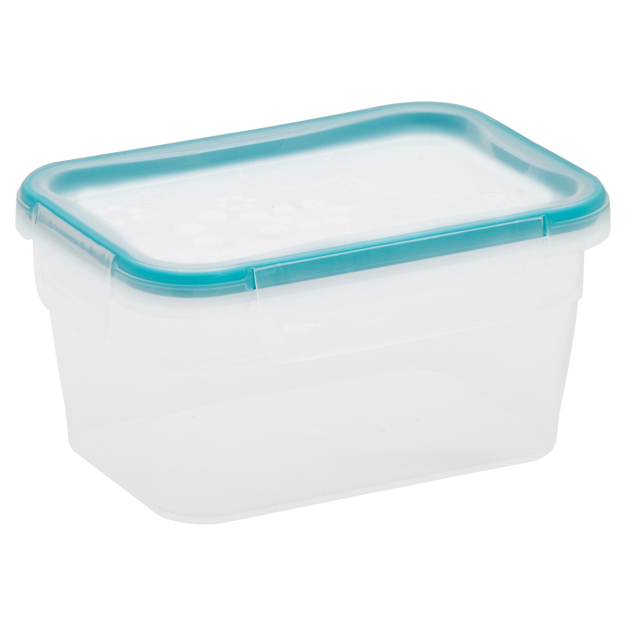 Snapware® TS Plastic Rectangle 1.18L